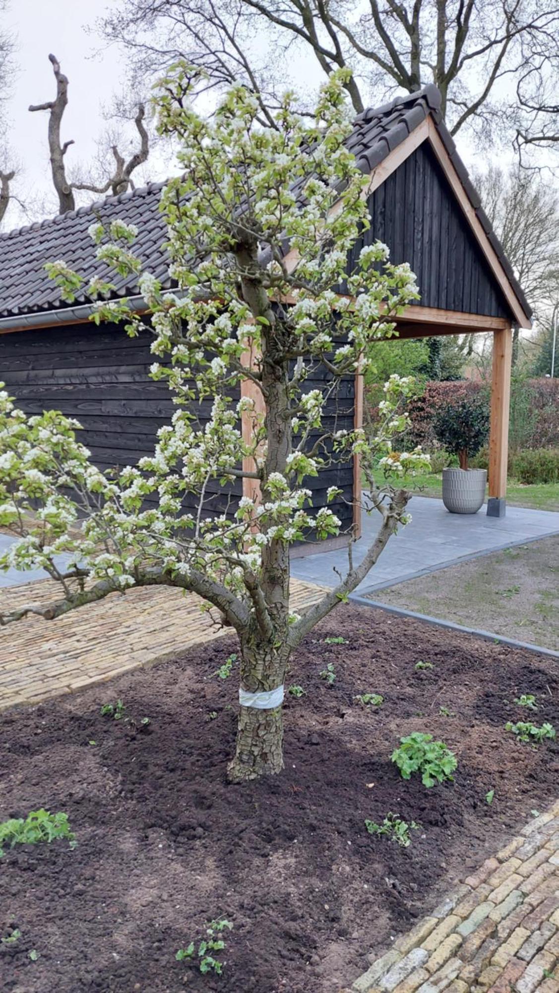Ferienwohnung De Buwepleats Drogeham Exterior foto